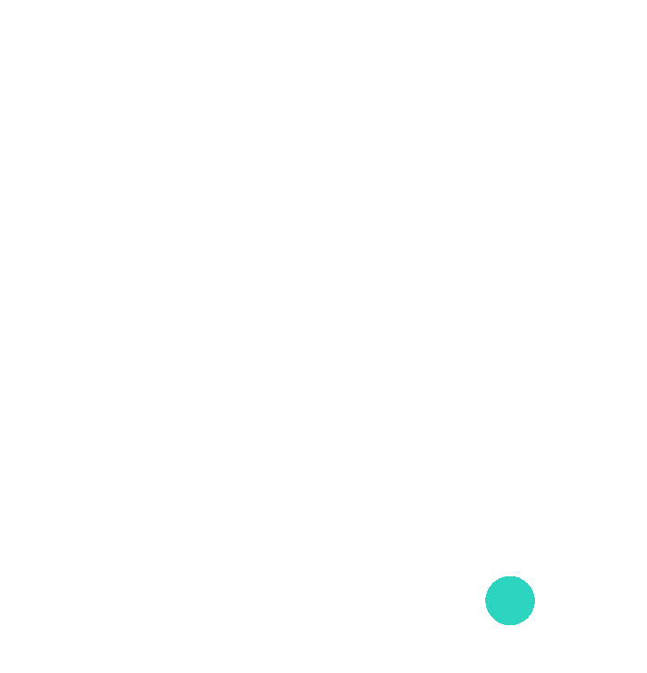 OrbitOrca